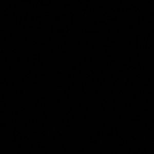 Meet your Posher, Shawn